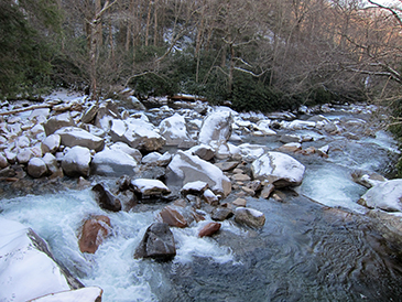 river in winter